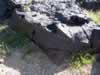 At the drop-off we found our first petroglyph. (144kb)