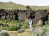 This second site had some newer petroglyphs in conjunction with some that had experienced revarnishing. (124kb)