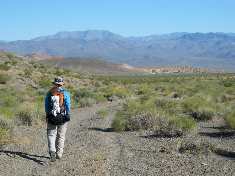 The old Epsom Salts Mine should be located in the crinkly tan hills to Niki's right.  Behind them loom the Panamint Mountains and the Slate Range.