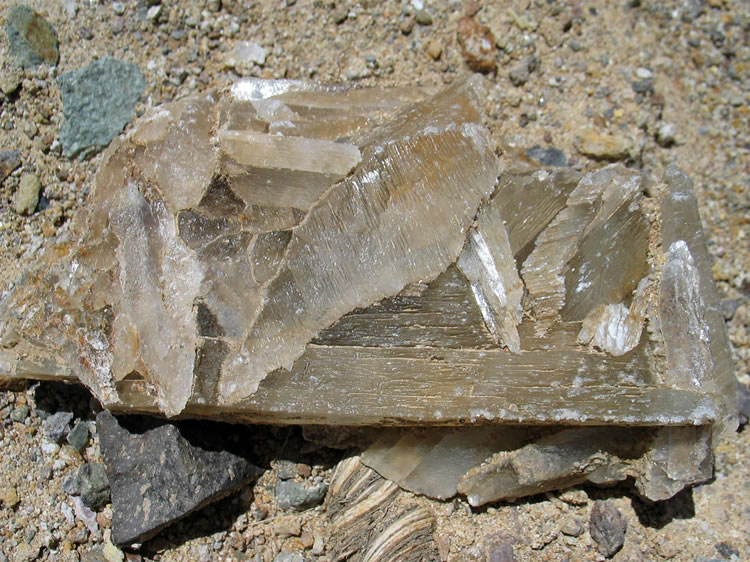 Even back in these washes the ground is still spotted with crystals.