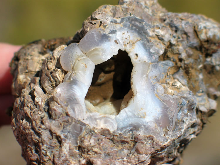 Chalcedony lined geodes hint at some good rockhounding in the area.