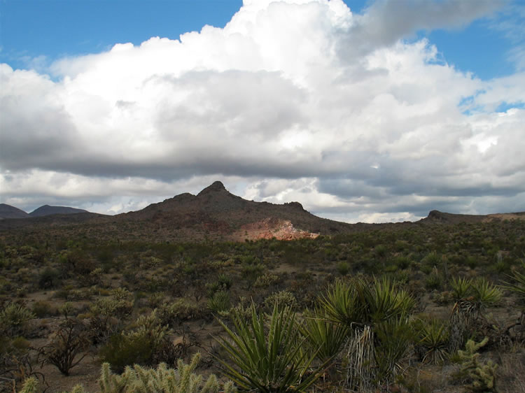 A sharper breeze and thicker clouds add a bit of excitement to the hike!