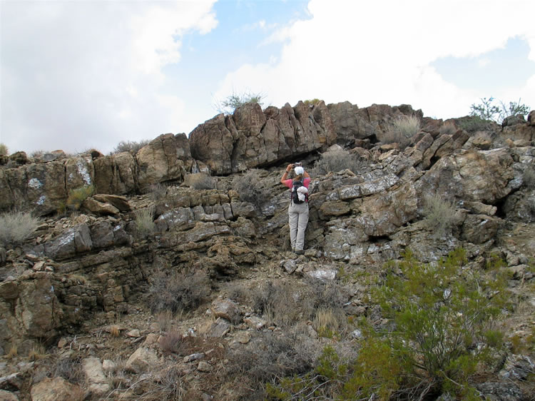 Finally, on one of the numerous transverse dikes that cross the wash, we find several petroglyph panels.