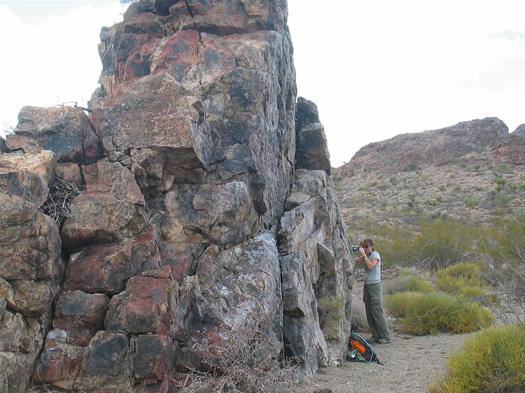 Although we only find a few faint petroglyphs on this dike, there are some interesting pockets of chalcedony and what looks like opalite as well as multi-colored lichen.  Niki breaks out her macro lens for a few photos.