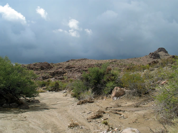However, as nice as it looks to the north, when we turn to look south back toward the truck we're met by a solid black sky punctuated by flashes of lightning and rumblings of thunder.  So far today we've escaped the rain, but the entire horizon has darkened and the rain is back.