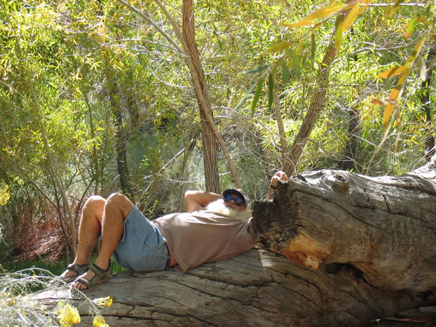 Roms meditates.