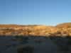 Late afternoon near the campsite. (41kb)