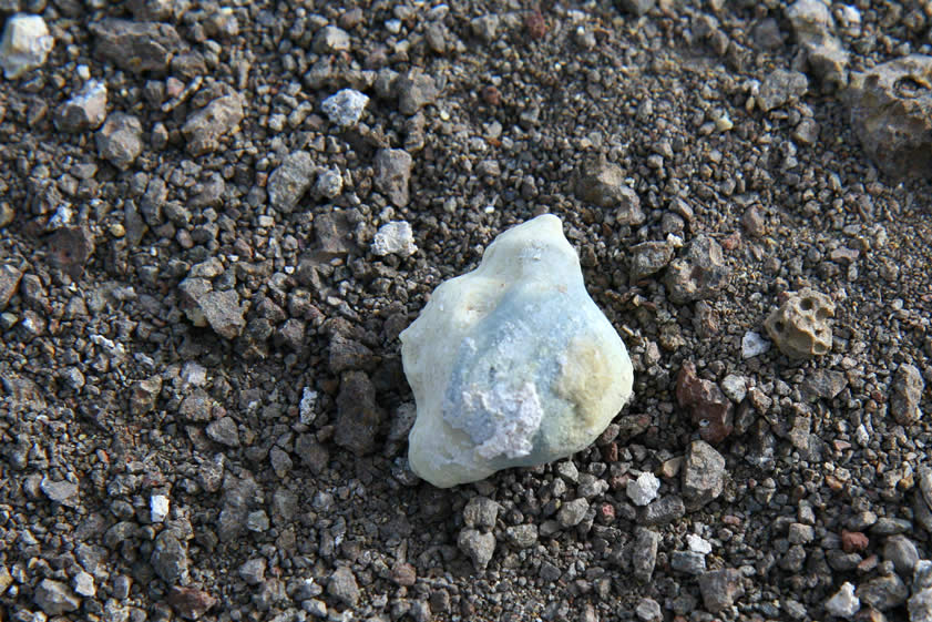 There are also lots of interesting nodules.