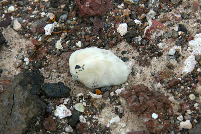 Another nodule.  Well, now that we're warmed up we decide to head for our second spot.