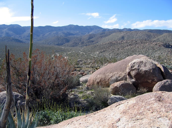 Looking south from the village site.