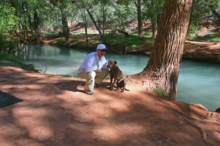 Even one of the many Indian dogs that make the rounds looking for handouts is impressed!