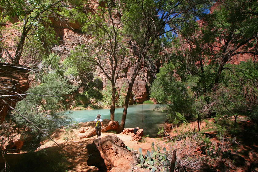 We found a neat little protected cove where someone has hung ropes from the trees for swinging out into the river.