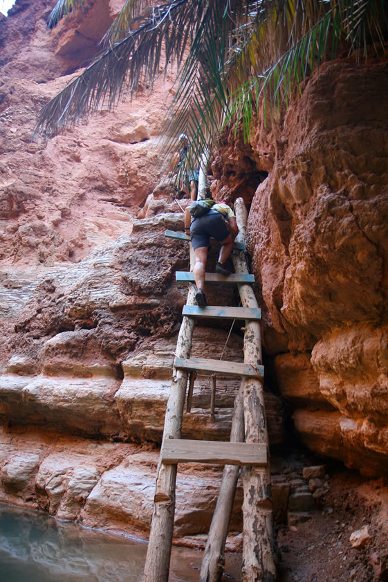 Do you notice how long it gets between rungs?  Ouch, this is tough!