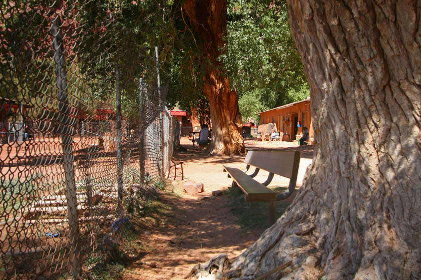 Another exciting thing to do in Supai is to watch the helicopter land and take off.  The landing field is just behind the chain link fence to the left.  To the right of the photo, above the bench, are the village store and the post office.