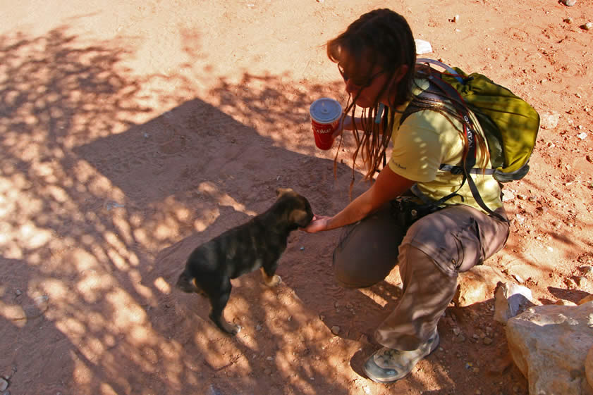 The dogs in the village are the friendliest ones that we've ever seen.  They just love to follow you around hoping for a handout!