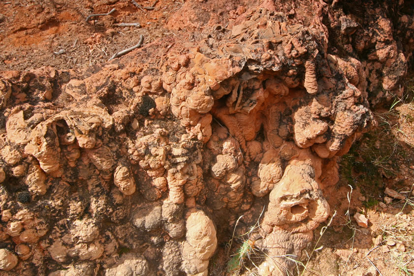 Here's a fossil pour-off from the distant past when the watercourse flowed over this area.
