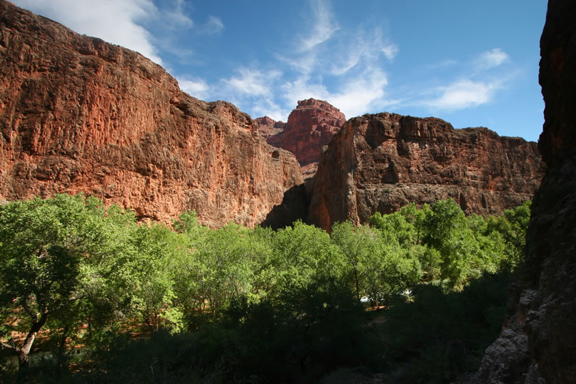 Some views down at the creek from the tunnel entrance.
