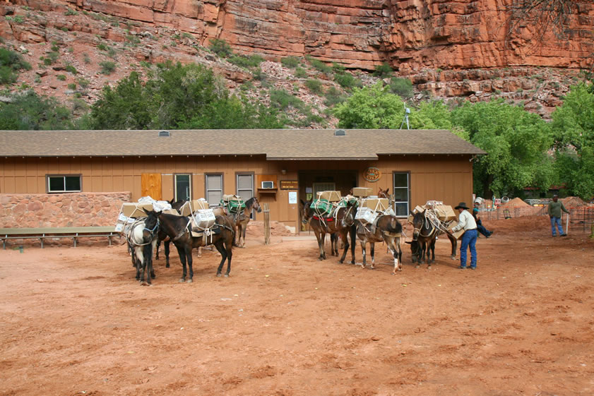 The post office is at the right of the building.  You'll definitely want to send some letters or postcards from here!  Each article of mail bears a special postmark attesting to the fact that it has been sent out on the only pack train mail in America!  Pretty neat, huh?