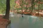084.jpg (153kb)