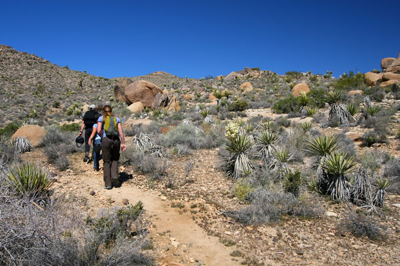 The trail twists and turns and descends and climbs much like an amusement park ride.