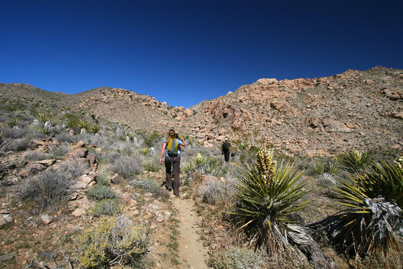 We're heading for the notch in the distant hills that's just a bit to the right over Niki's head.  After climbing that, we'll again snake our way further into the hills to the Eagle Cliff Mine location.