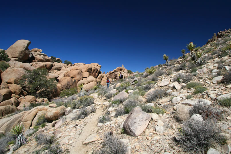 Finally, as we near the top of the notch, the gradient of the trail relaxes a bit.