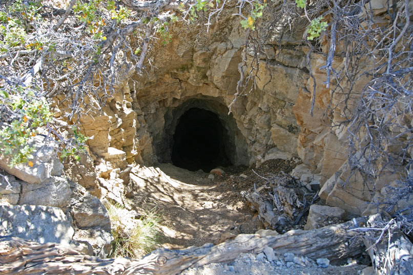 Before you know it, we come to the white quartz tailings and the inclined shaft of the Eagle Cliff Mine.