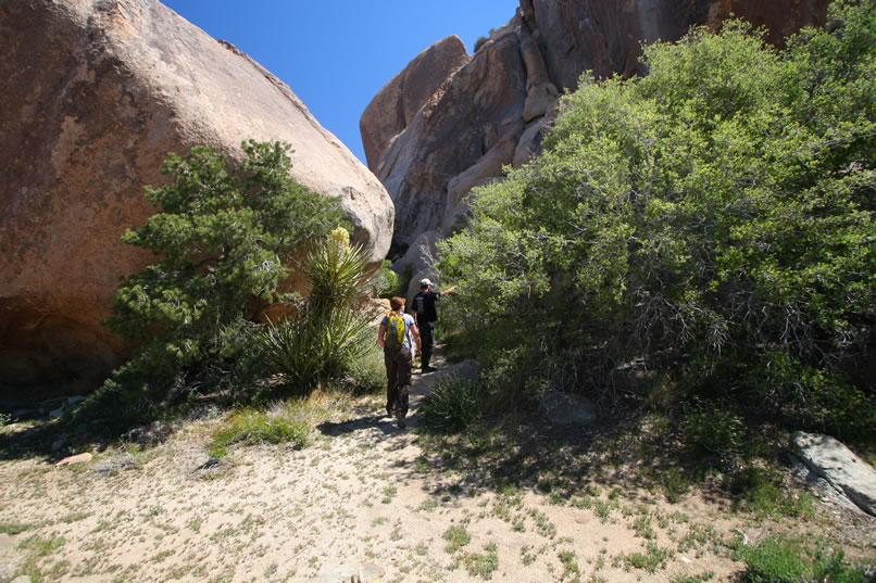This one is located up a narrow passage that starts just outside the window of the main shelter.