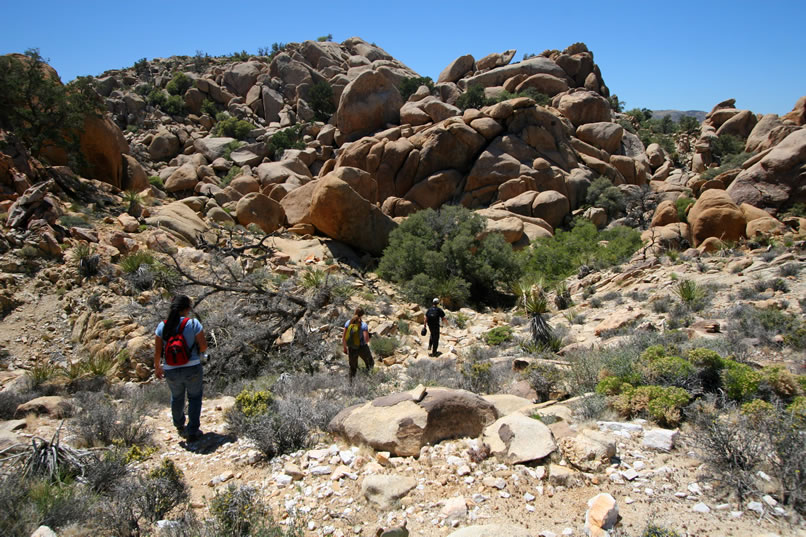 We finally leave the lizard behind and continue threading our way toward the notch.