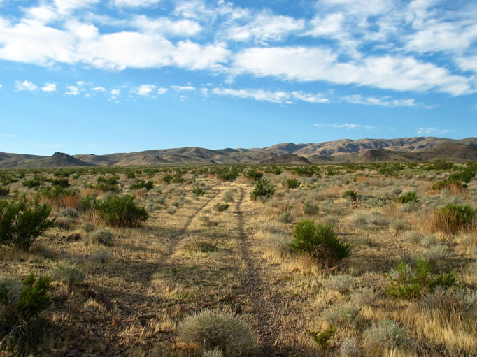 Our early route follows a fading two track. We are currently in Death Valley National Park and this road is closed to vehicles. Further on we'll hike out of the park into BLM land.