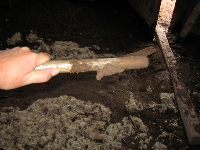 Niki checks the depth with a broom handle.  The mud comes up to her thumb.