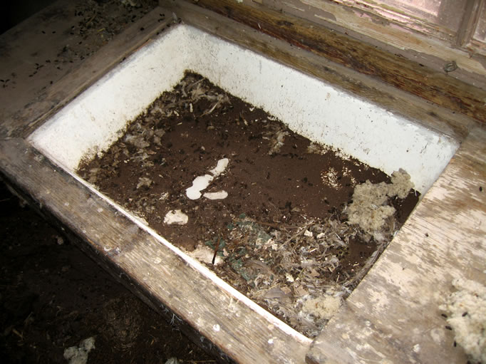On the down side, pack rats have trashed the place,  Even the sink is full of rat poop.