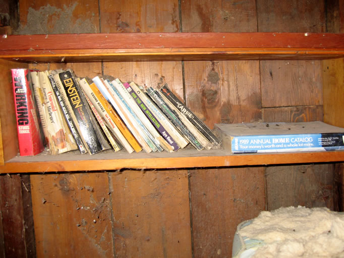 The library remains fairly intact.  I guess not many packrats can read.