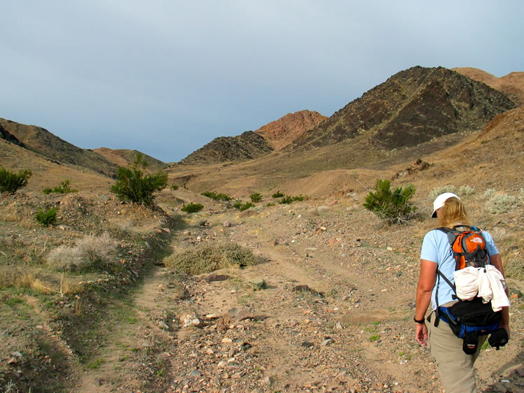 Headin' west up-canyon toward the Superior Mine, the biggest producer of the mines located in the southern Ibex Hills.