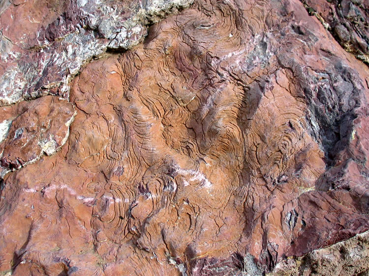 A pleasing variety of rocks populated the wash and made the hike quite enjoyable.