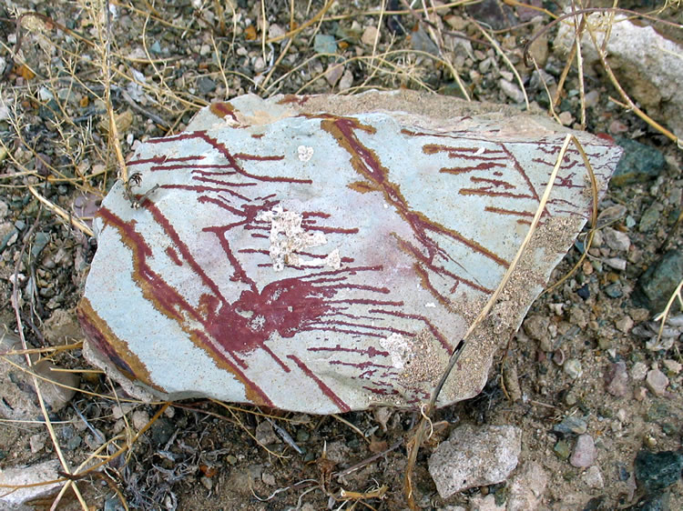 Another piece of picture rock.