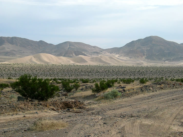 Another view of the Ibex Dunes as we begin our sandy drive to Ibex Springs.