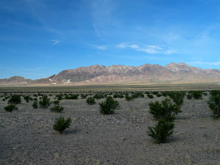 A view from the Ibex Dunes trail toward Ibex Springs.  The springs are located below the white splashes of talc from the Moorehouse, Pleasanton and Monarch Mines.
