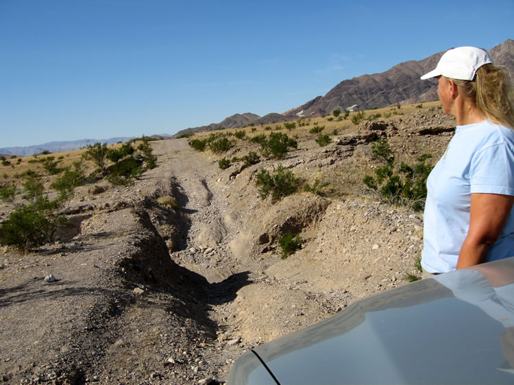 If you're going to visit Ibex Springs, be prepared for some rough sections.
