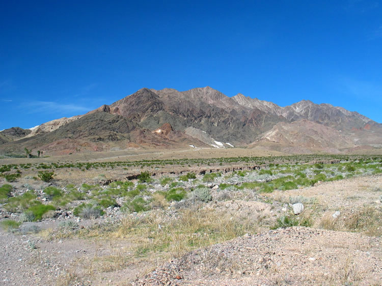 We're close enough now that you can see the palm trees at the spring to the left of the picture.  The white tailings in the center are from the Pleasanton and the Monarch Mines.