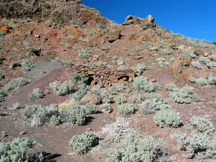 Up behind the springs is a stacked stone cabin, a remnant from the earlier lode mining that took place nearby.  This mining began in the early 1880's and ended around 1915.