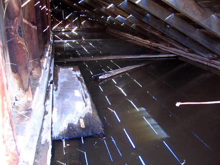 A look inside the shed.