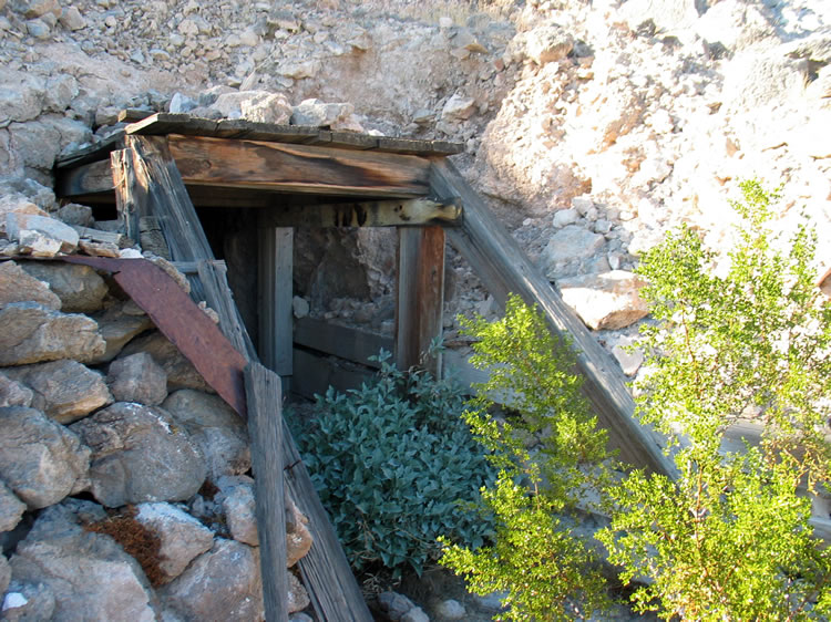 We find two adits.  The first has a bit of shrubbery in the entrance.