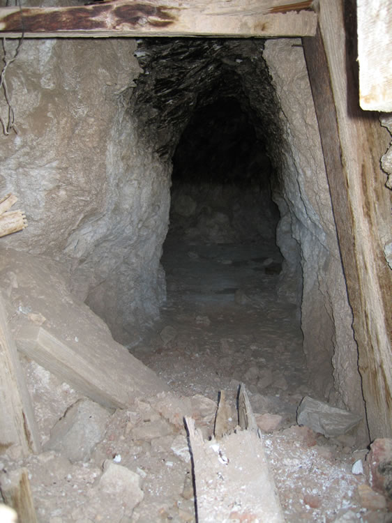 A quick look inside.