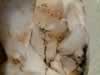 quartz crystal cluster (50kb)