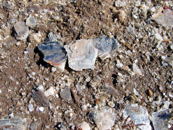Lots of mica still covers the ground at the old mill site.