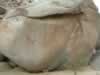 The red pigment and snake symbols are common motifs for puberty rites of Indian girls. (60kb)