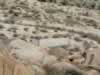 Further down the wash we come to the site of the Indian villiage near Smuggler Canyon. (70kb)
