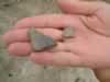 Pottery is found throughout the area. (37kb)