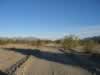 At 7:00 AM we pointed our noses north and started hiking.  We hoped the tire tracks were made by a BLM ranger. (54kb)